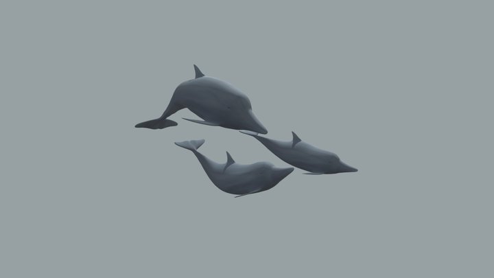 Delfini 3D Model