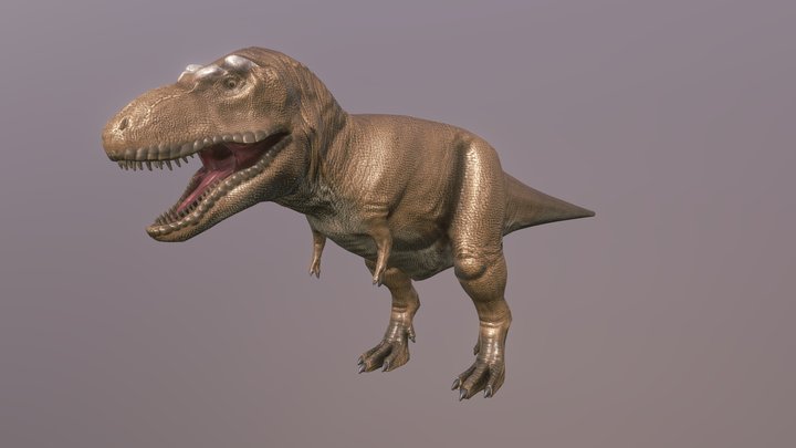 Paleo Accurate T-Rex! 3D Model