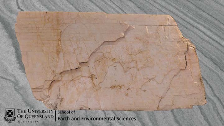Plagioclase Feldspar w/ Polysynthetic Twinning