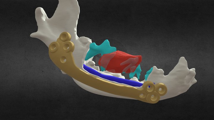Tumor mandibular en canino 3D Model