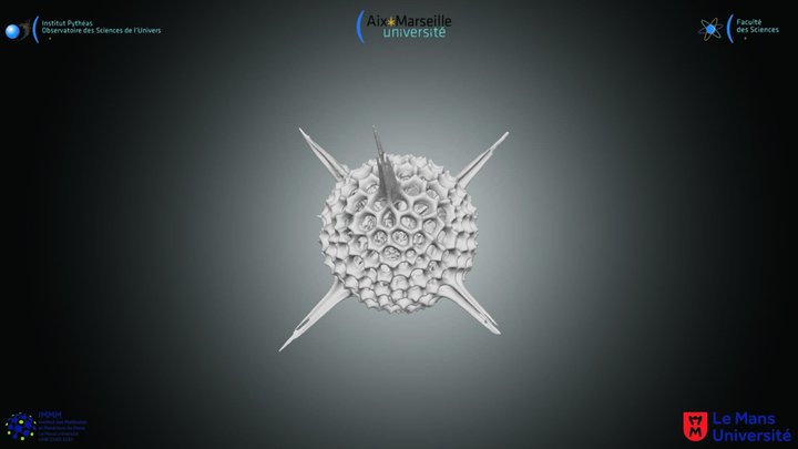 Radiolaire spumellaire 2 3D Model