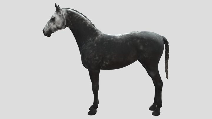 Grey dapple horse 3D Model