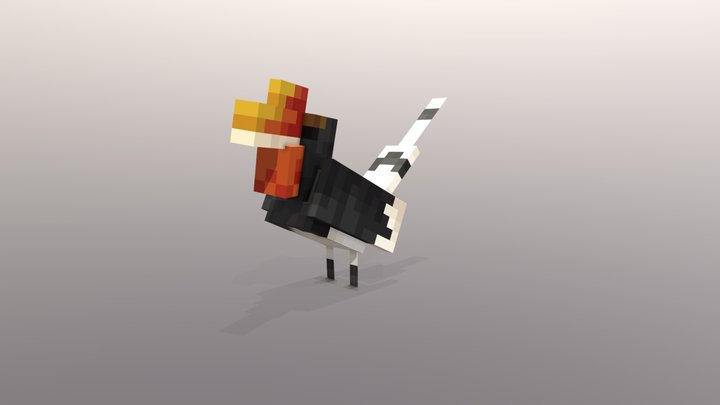 Helmeted Hornbill 3D Model