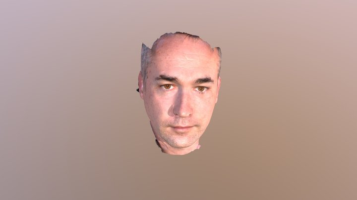 Face - Ludo 3D Model