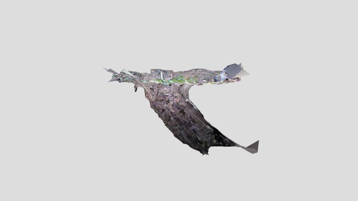 Badger sett hole 3 3D Model