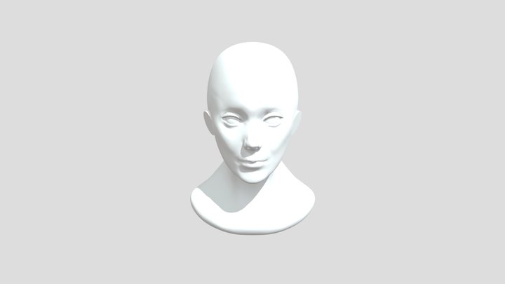 My model 3D Model