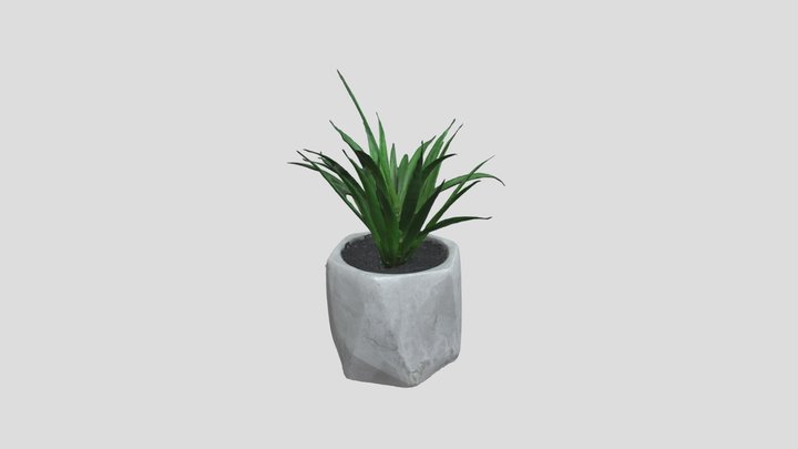Potted Plant 3D Model