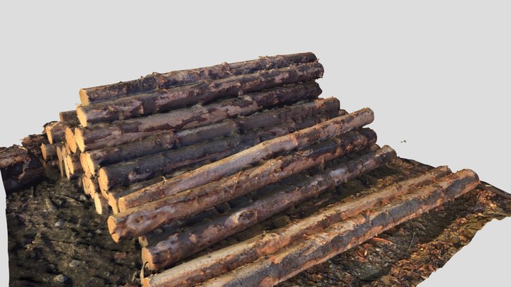 Pile of Pine 3D Model