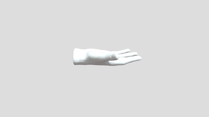 SK_ Basic Hand_ Right 3D Model