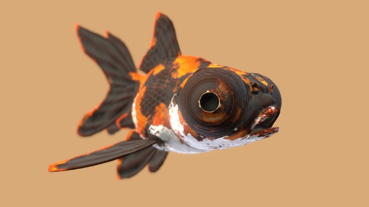 Black moor goldfish 3D Model
