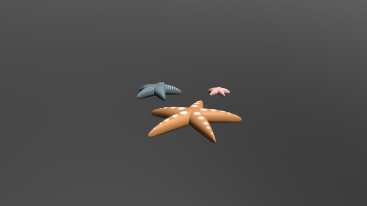Starfish 3D Model