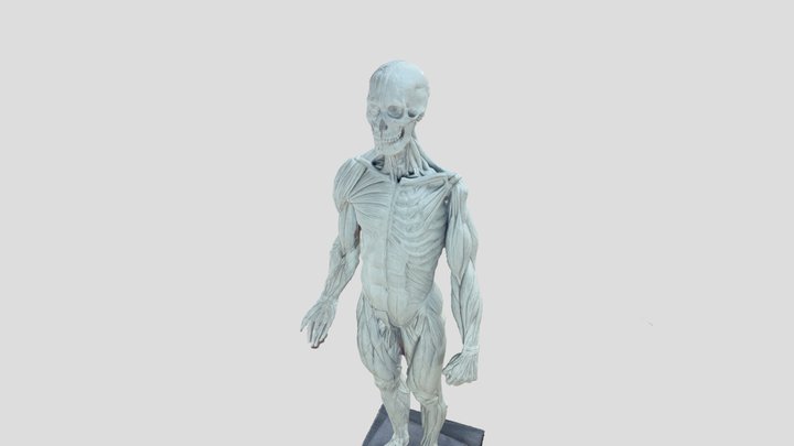 New Softbox installation test - Reality Scan 3D Model
