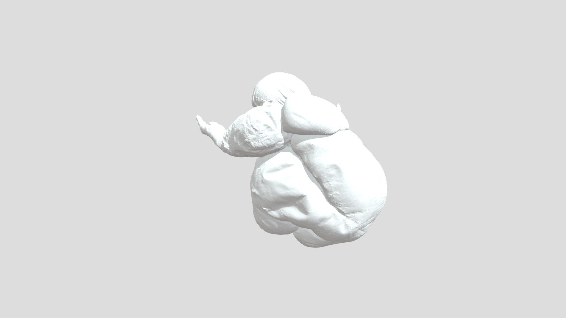 Rumen Grande - 3D model by Anatomía Veterinaria FESC-UNAM (@Anatomia ...