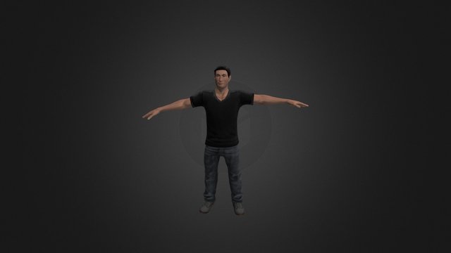 Waving - Gentle / Dramatic 3D Model