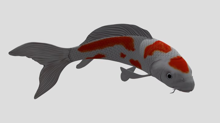Koi Fish 3D Model