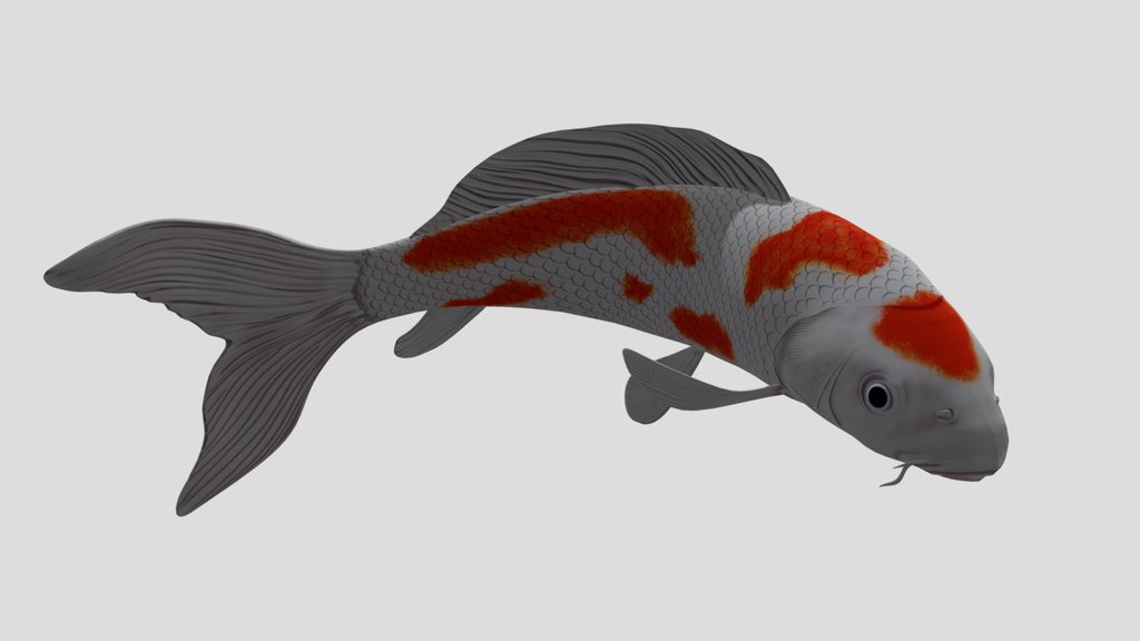 Koi Fish