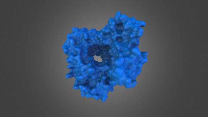 DNA Polymerase Beta 3 3D Model