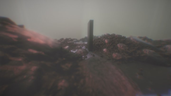 Surface Anomaly