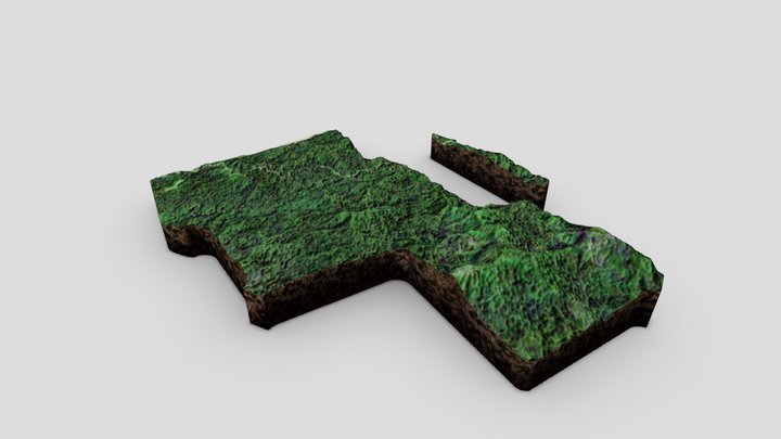 Selva viva 3D Model