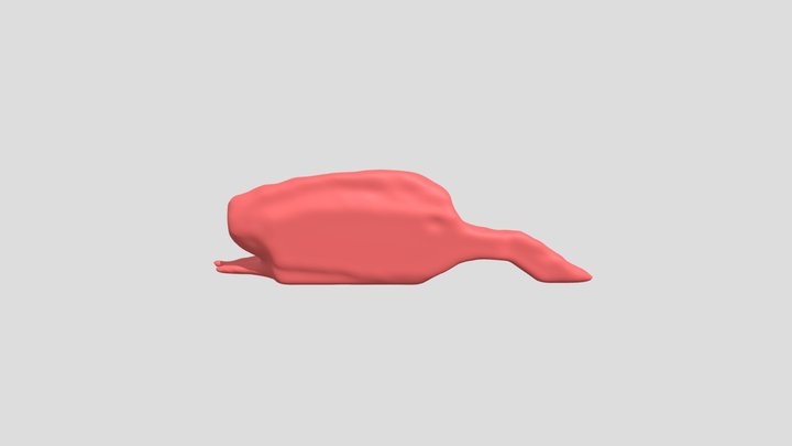 Segmentation_artery 3D Model