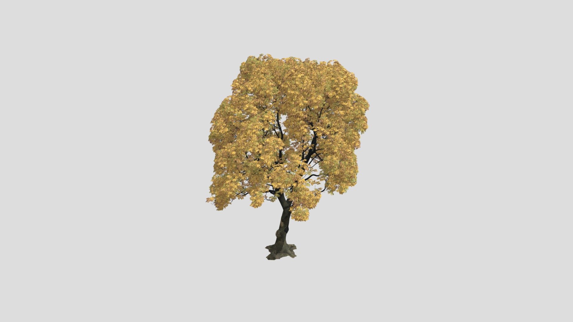 Chestnut 16 AM258 Archmodel - Buy Royalty Free 3D model by Evermotion ...