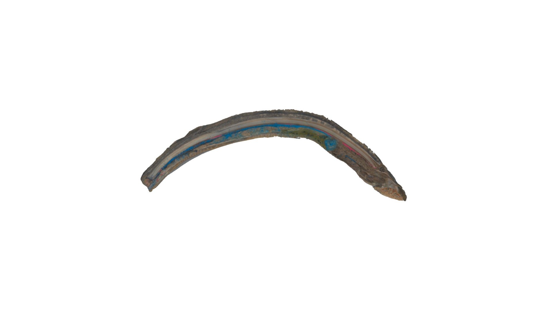 Lamprey Long (Unlabelled) - Download Free 3D model by jdb56 [3e25721 ...