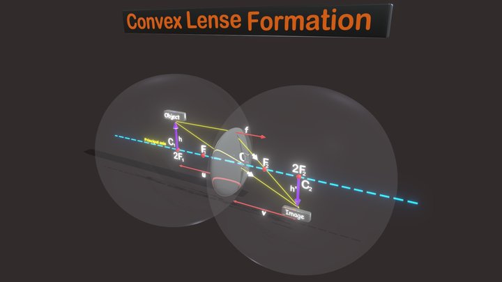 Convex Lense formation and Terminology 3D Model