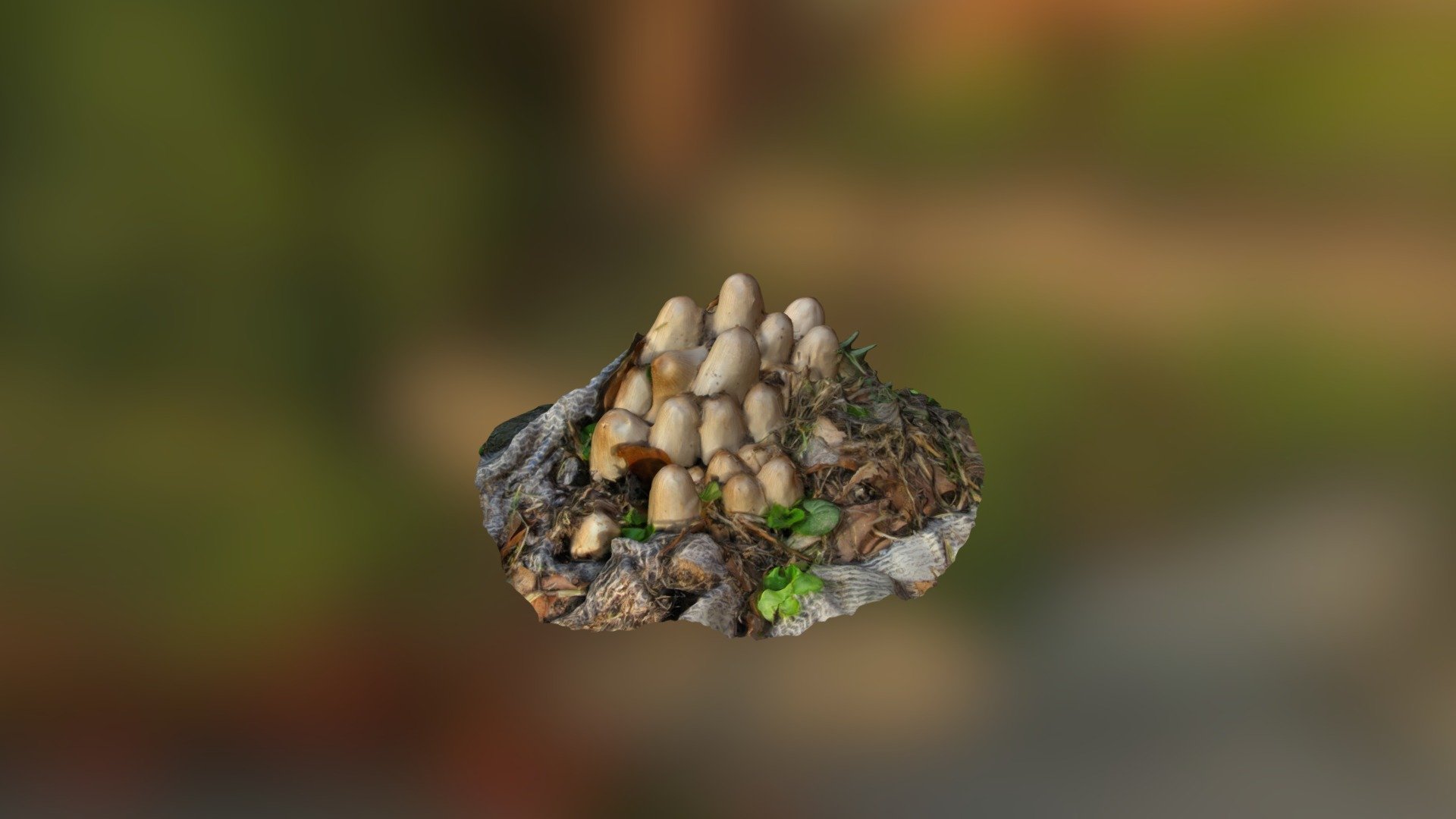 Mushrooms
