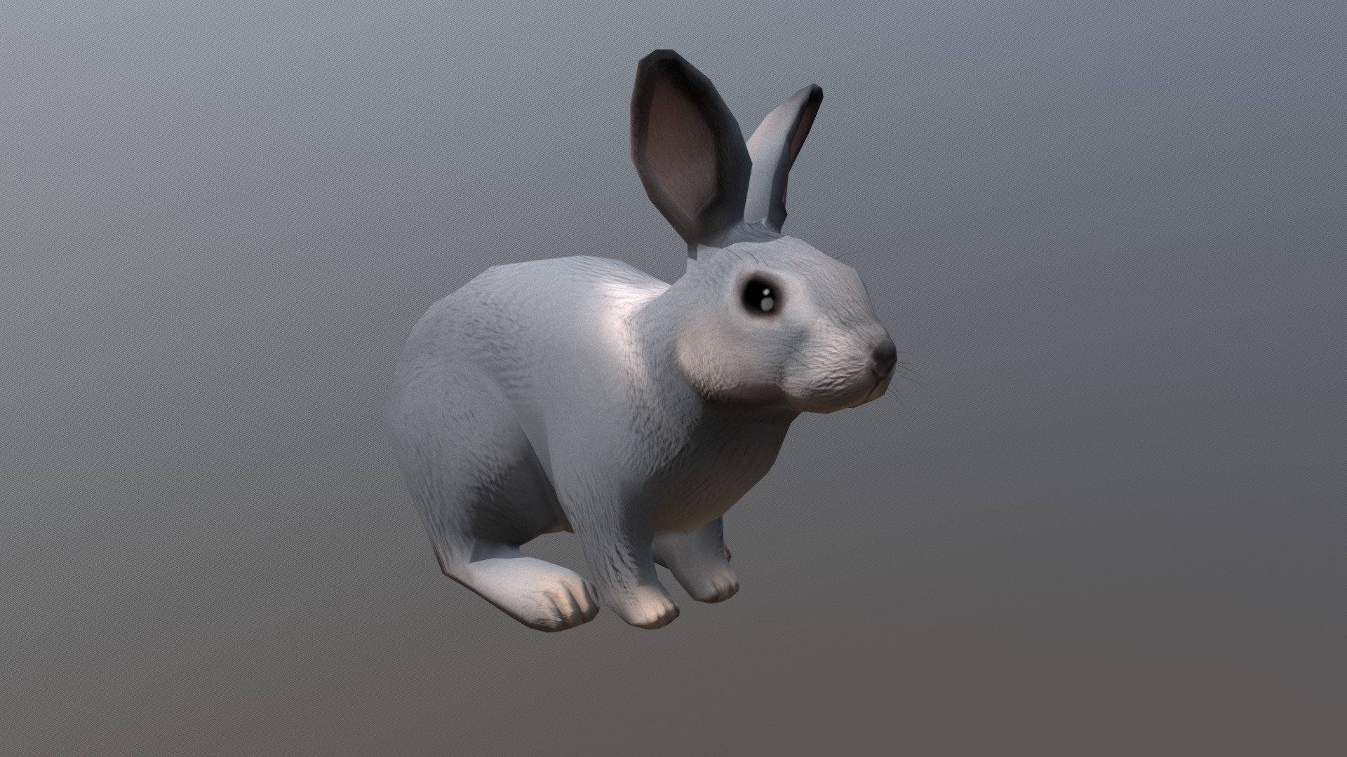 Grey Rabbit - Buy Royalty Free 3D model by 3dlowpoly [3e288ee ...