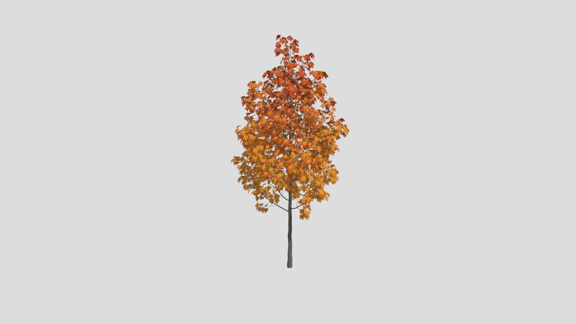 Acer Autumn 40 AM250 Archmodel — Sketchfab embed 3D viewer