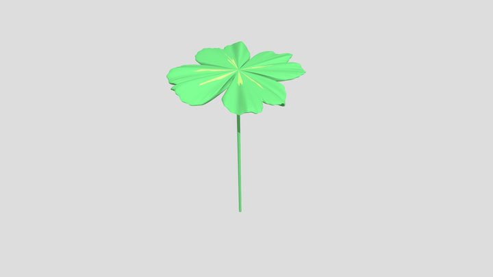 Clover 3D Model
