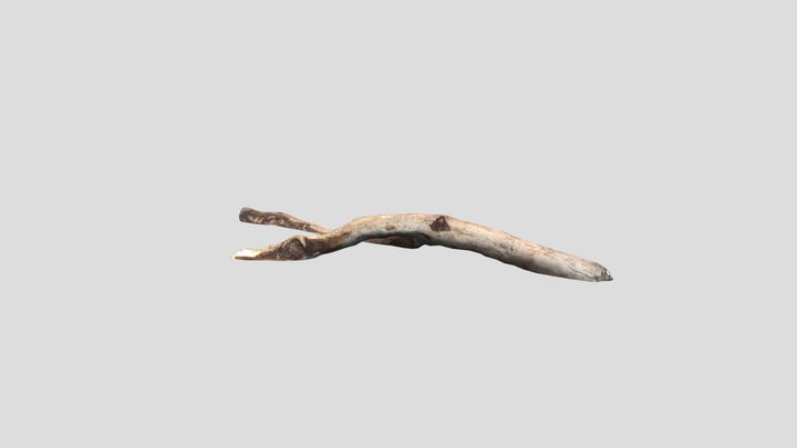 Driftwood 3D Model