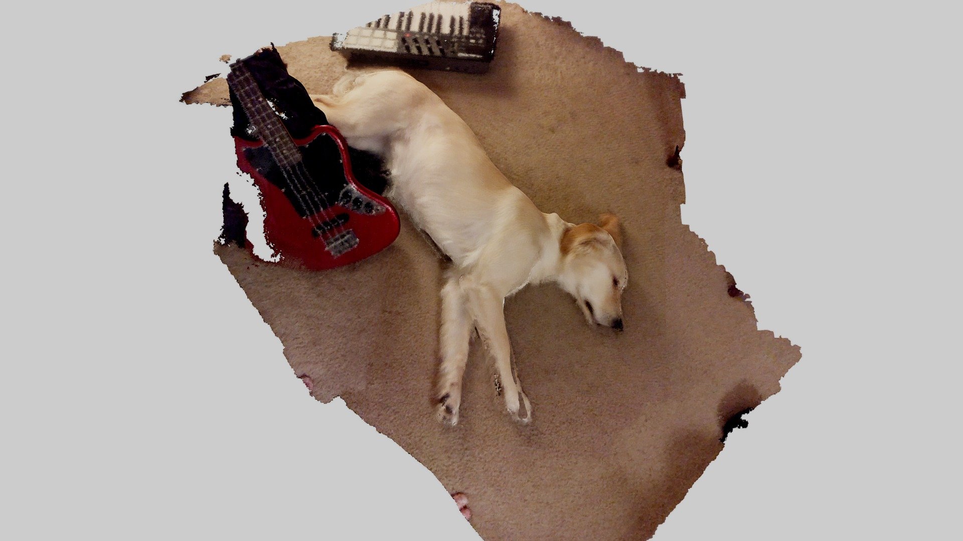 Scandy test - Toni pup - 2mm