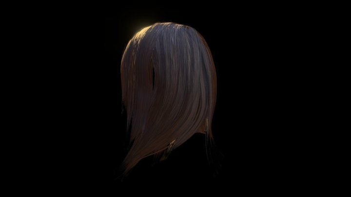 Hair Test 3D Model