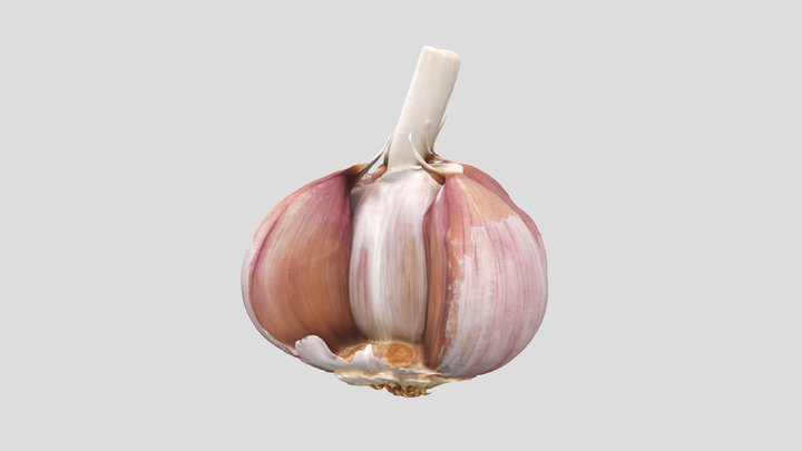 3D Scan - Garlic 3D Model