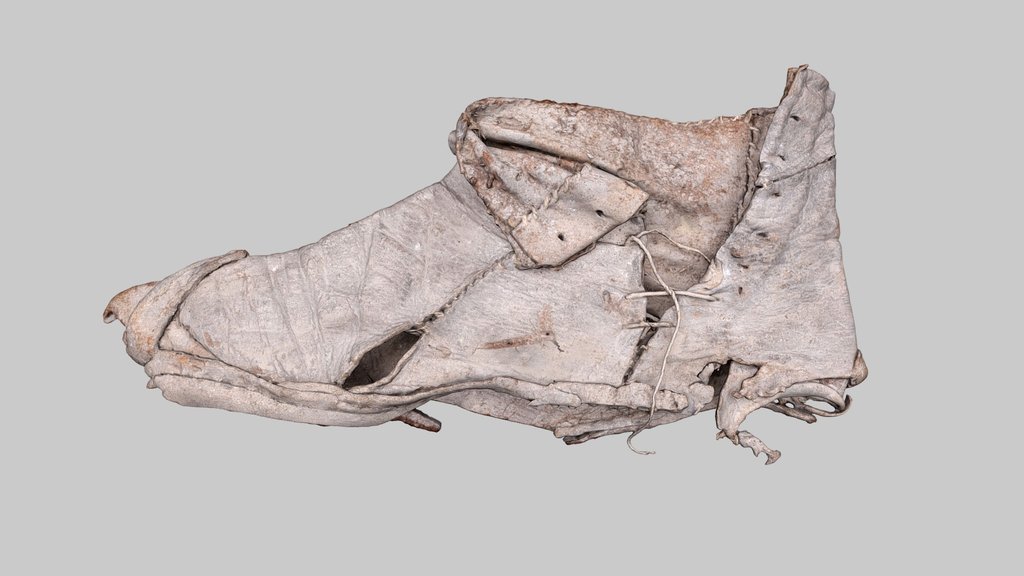 Shoe