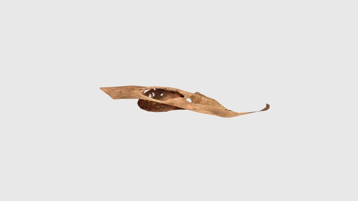 炉趾 3D Model