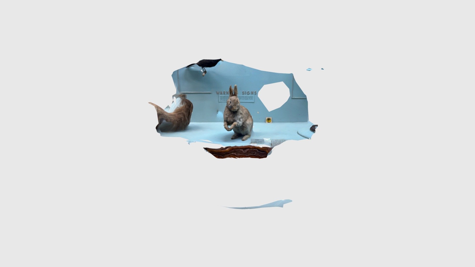 Rabbit - Download Free 3D model by Page5801 [3e32023] - Sketchfab