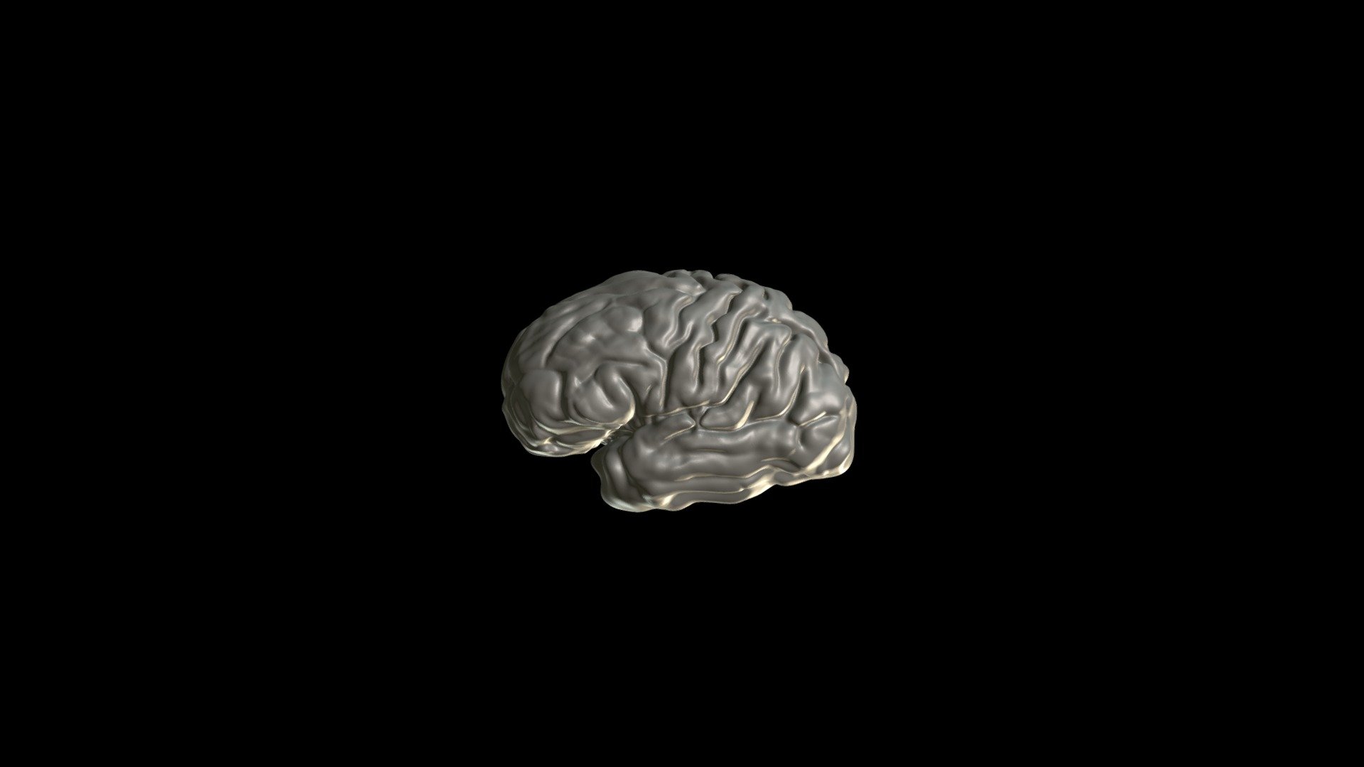 cunningham brain sculptura 200426 - 3D model by Paul.Govaert [3e32cbd ...