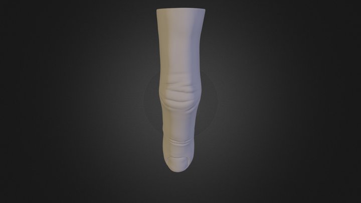 Finger 3D Model