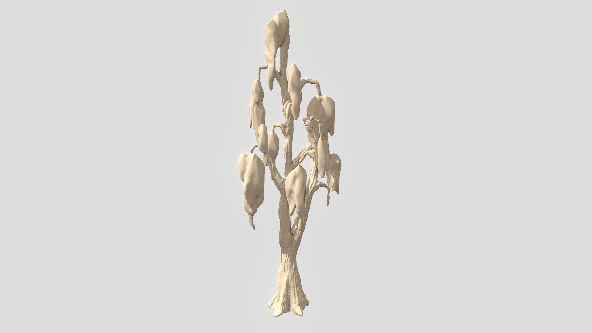 Tree foliage