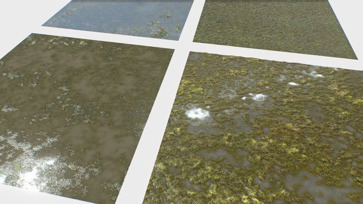 Water with algae PBR Textures 3D Model