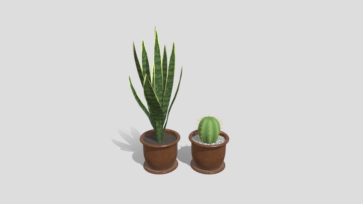 Teuchun Flower pots with sansevieria and cactus 3D Model
