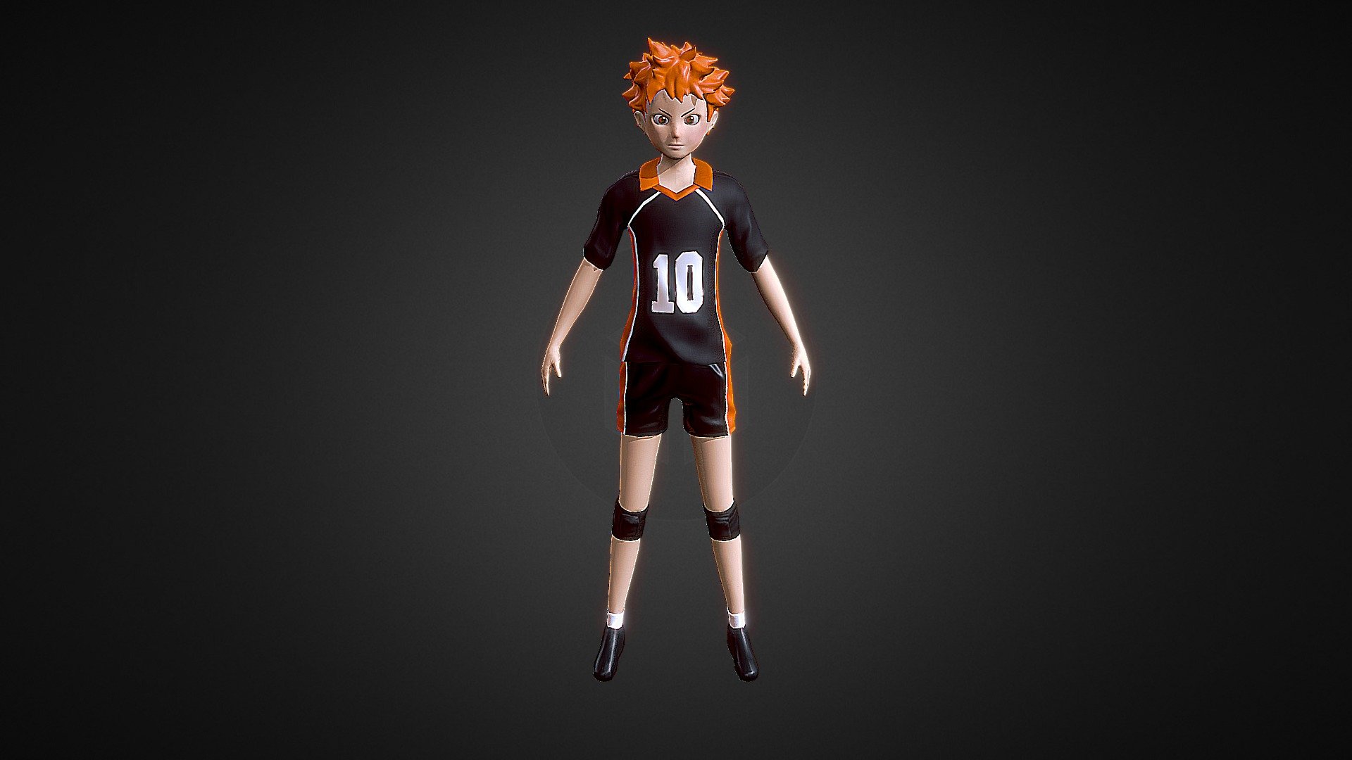 hinata shoyo model