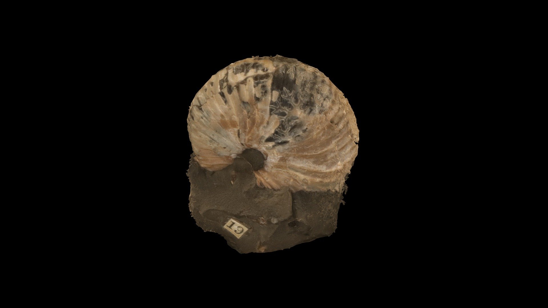 Geol316_1V