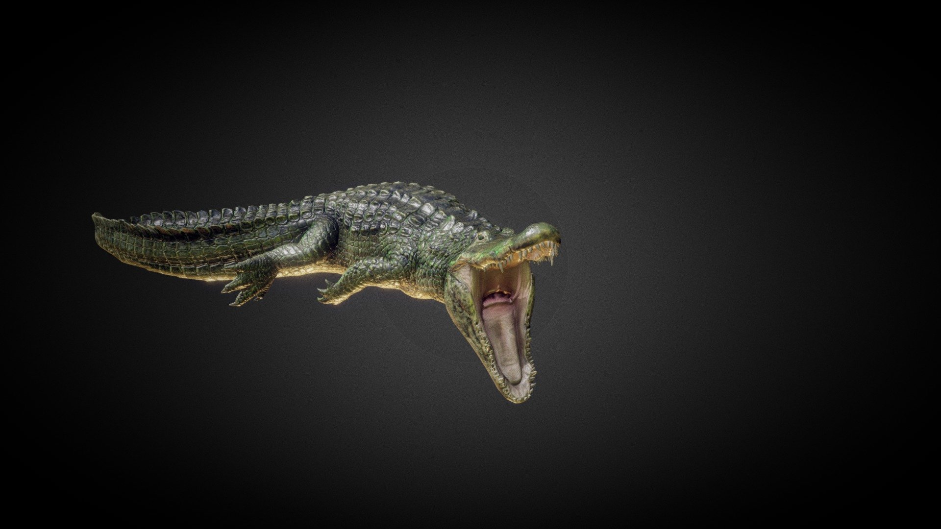 Alligator - 3D Model By MAXDESIGN-3D (@MAXDESIGN) [3e3c1d7] - Sketchfab