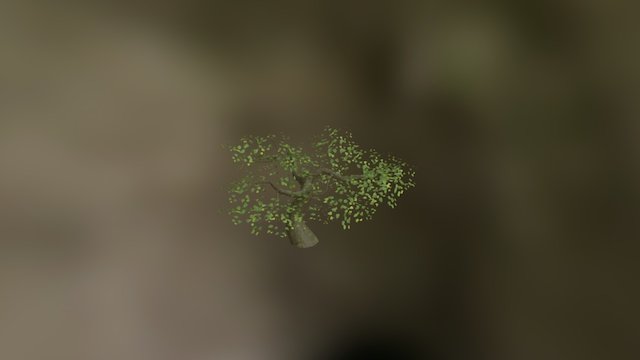 Arbol 3D Model