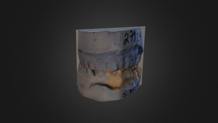 My teeth 3D Model