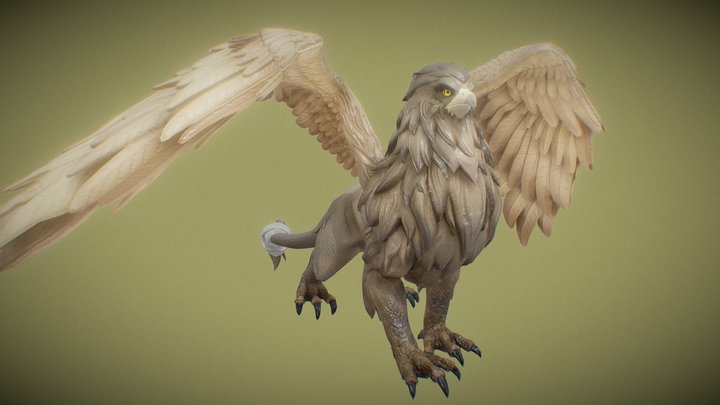 Hippogriff  stage1 3D Model