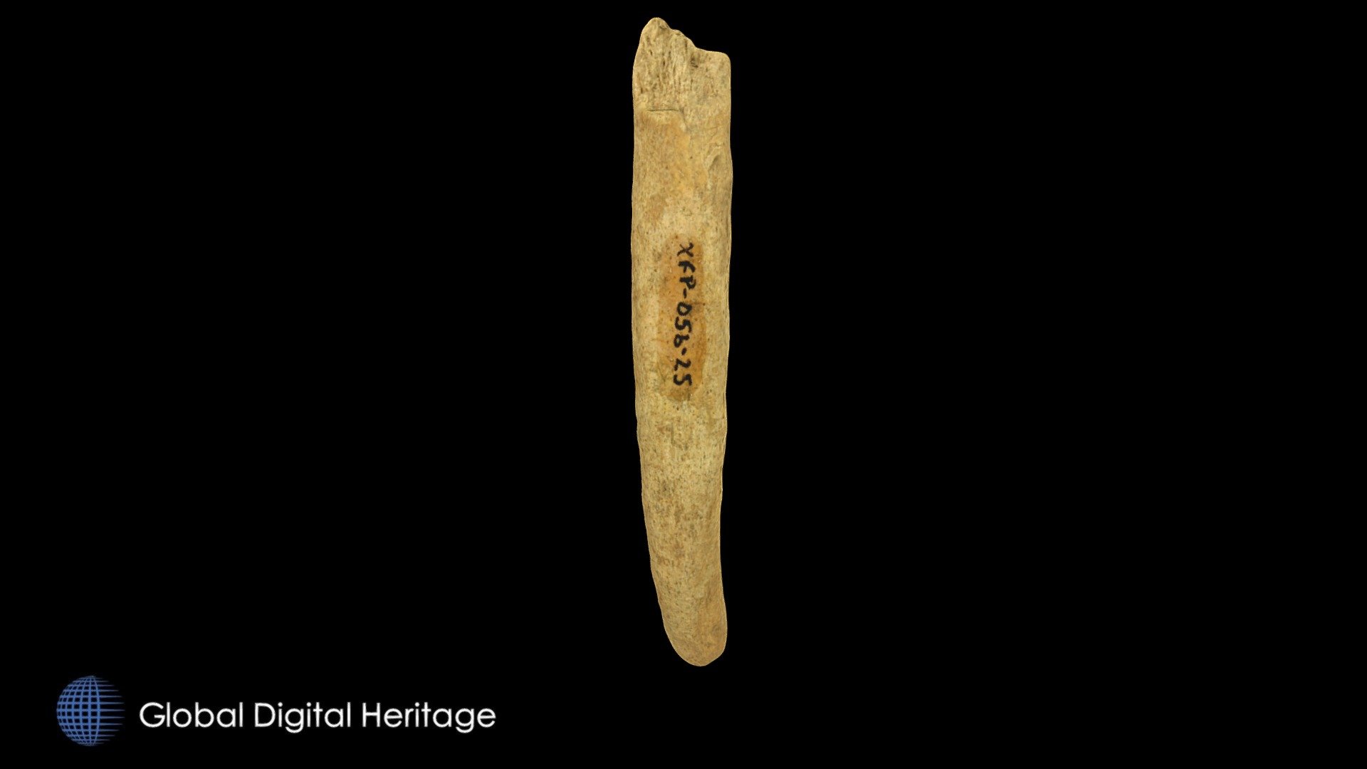 XFP-056-25 Rib bone tool, Sanak Island, Alaska — Sketchfab embed 3D viewer